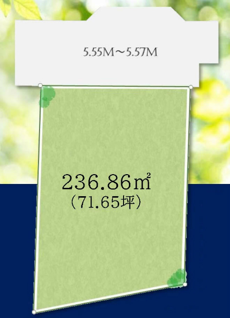 四谷1丁目地形図