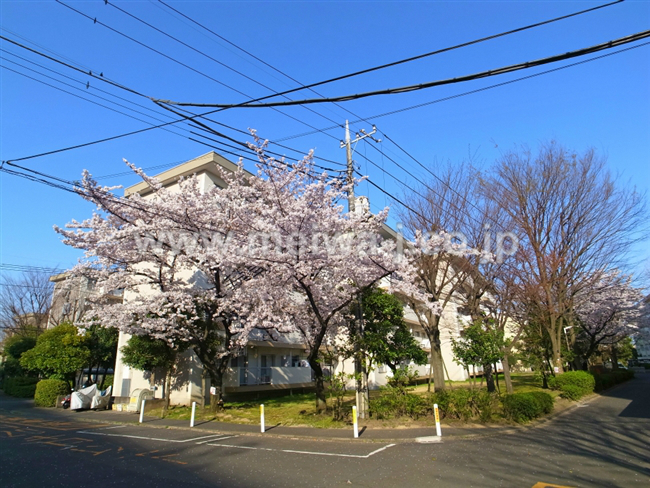 車返団地1街区(押立町2)の写真3
