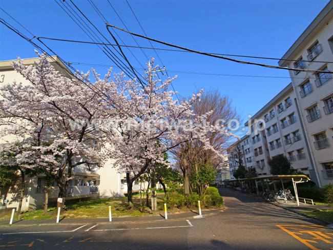 車返団地1街区(押立町2)の写真5
