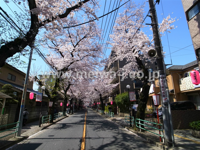 M-48584ライオンズマンション府中桜通り写真5