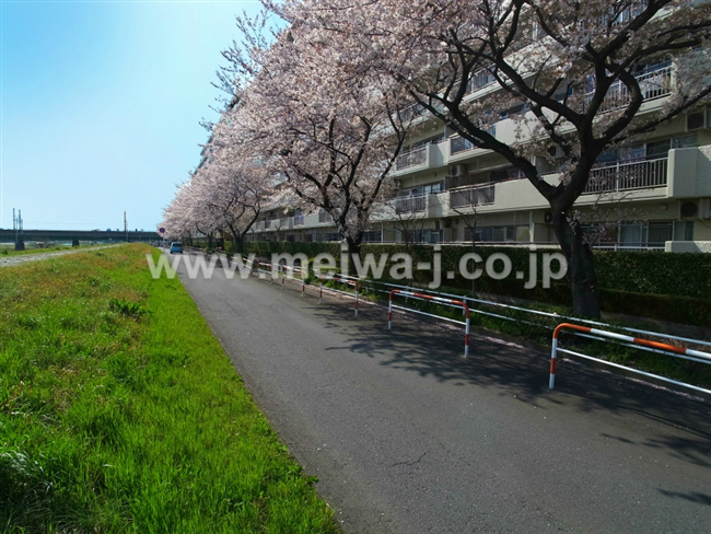 府中多摩川通り住宅現地