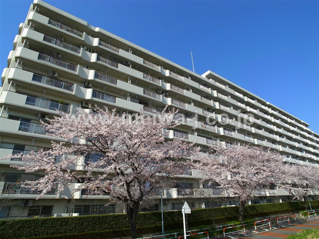 府中多摩川通り住宅2号棟