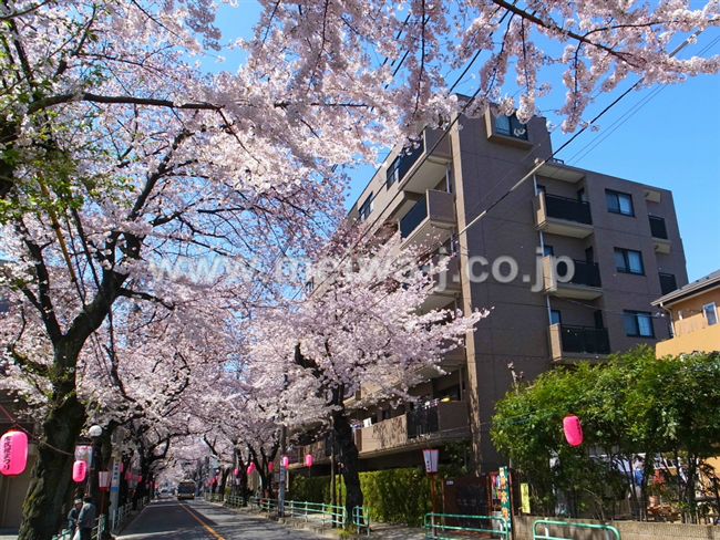 ガーデンハイツ府中桜通りの外観