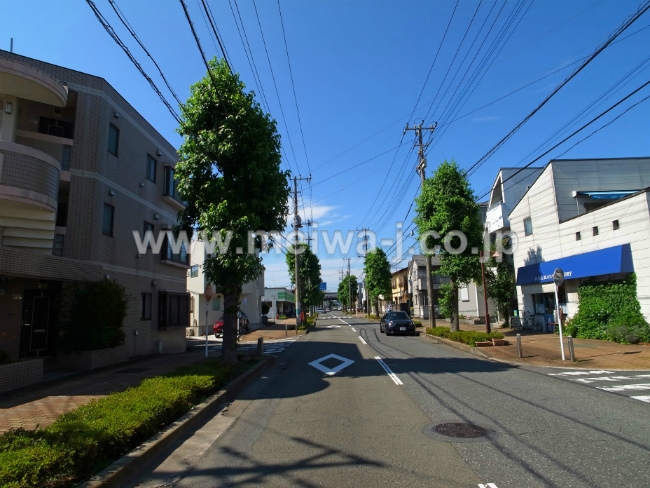 M-49321グリーンハイム写真5