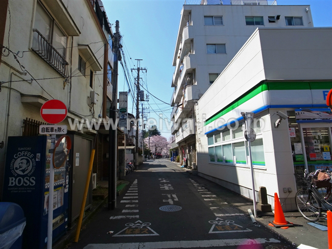 寿チェリーマンションの写真5