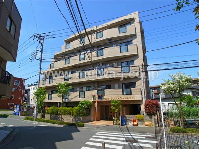 ネクステージ中河原の外観