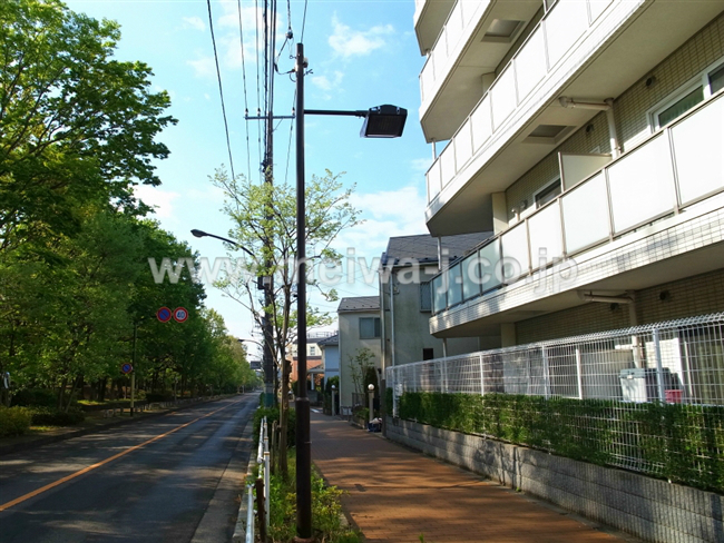 M-48592シェルゼ府中の森公園写真5