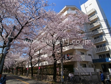 府中マンション外観