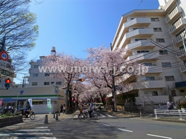 府中マンション現地