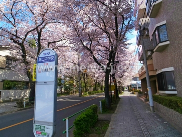 ライオンズガーデン府中紅葉丘写真