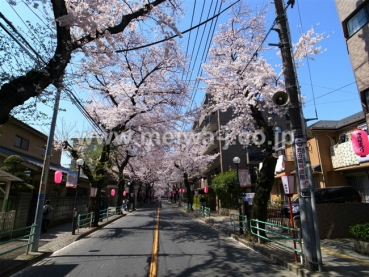 ライオンズマンション府中桜通り写真