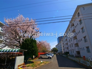 府中日鋼団地現地