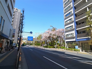 ルリオン府中駅前写真