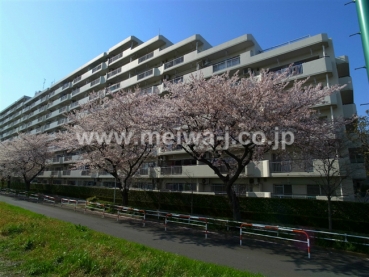 府中多摩川通り住宅2号棟画像