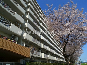 府中多摩川通り住宅2号棟現地