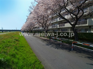 府中多摩川通り住宅2号棟写真