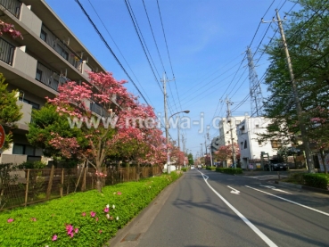 フィール天神町１号館現地