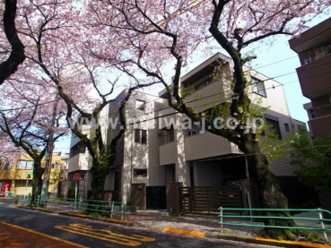 府中桜通りメゾン