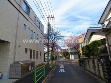 府中桜通りメゾン現地