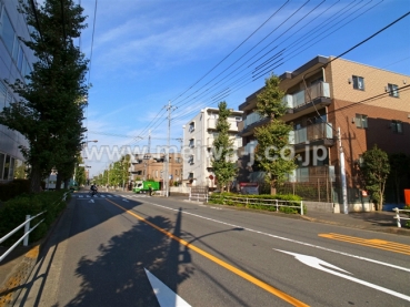 ミオカステーロ府中町現地