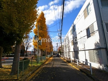 白糸台パークハイツ現地