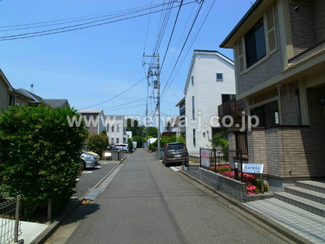 エムモミジの写真5