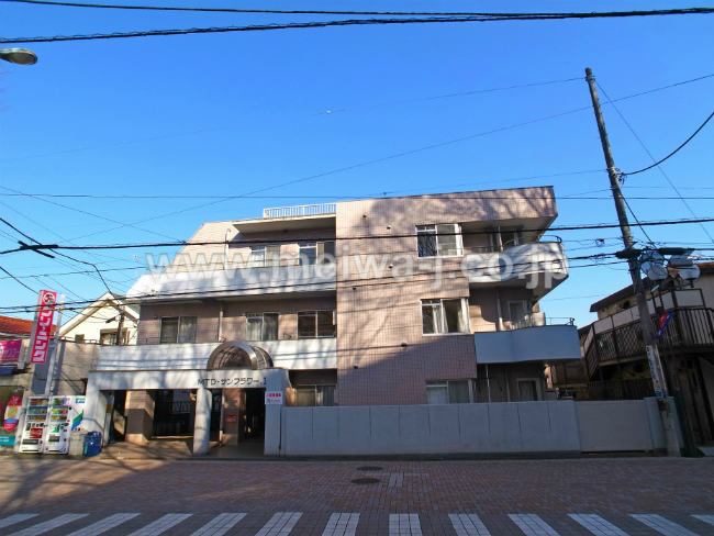 MTDサンフラワー1の写真2