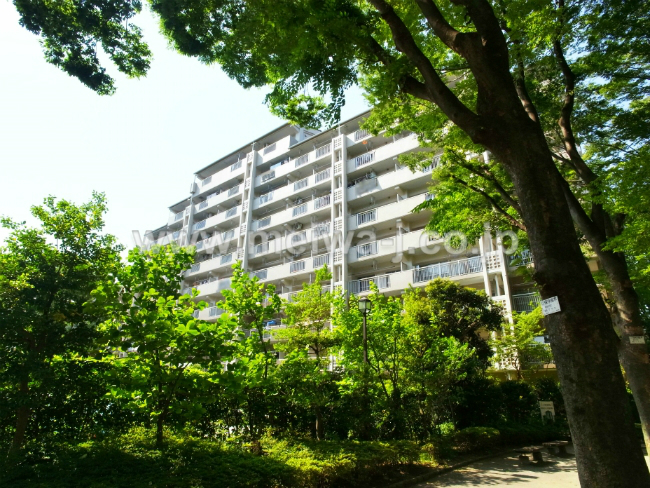 UR府中グリーンハイツ6号棟の写真2