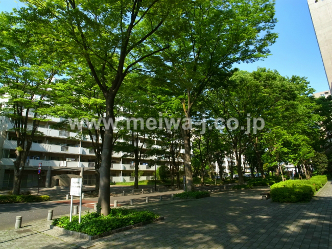 UR府中グリーンハイツ7号棟の写真2