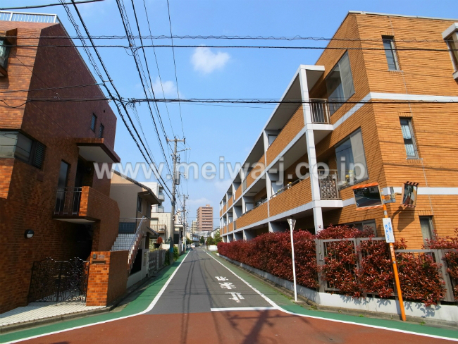 アイビスホクセイ写真