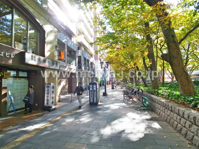 あおばビルの写真4