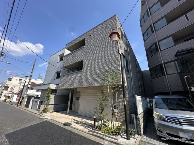 ピーノ画像