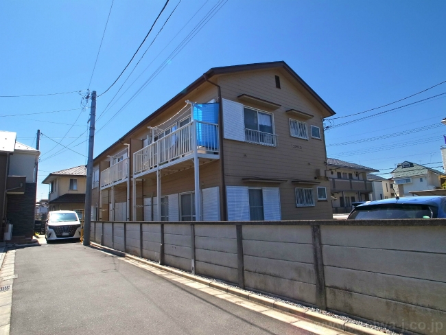 コスモス３１
