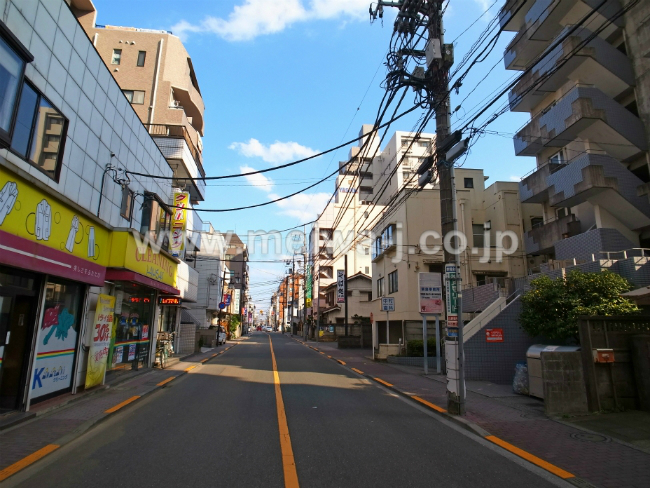 エミネンスウィップの写真5