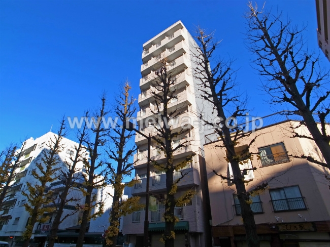 S-3178若松町2丁目一棟売マンション現地4