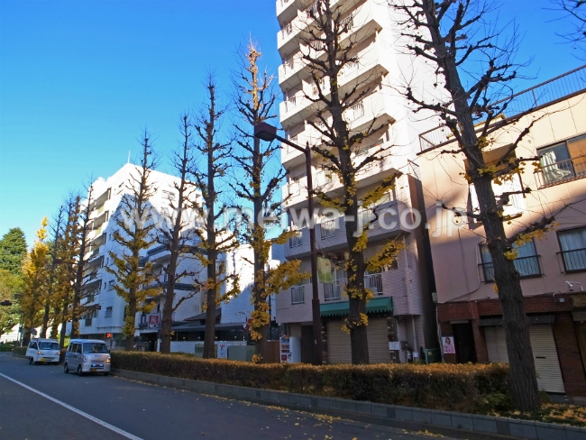 S-3178若松町2丁目一棟売マンション写真5