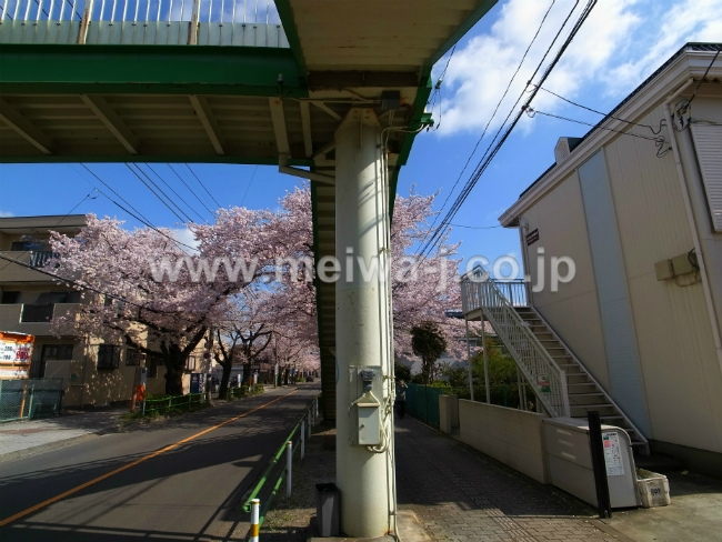 S-3295紅葉丘1丁目売りアパート現地4