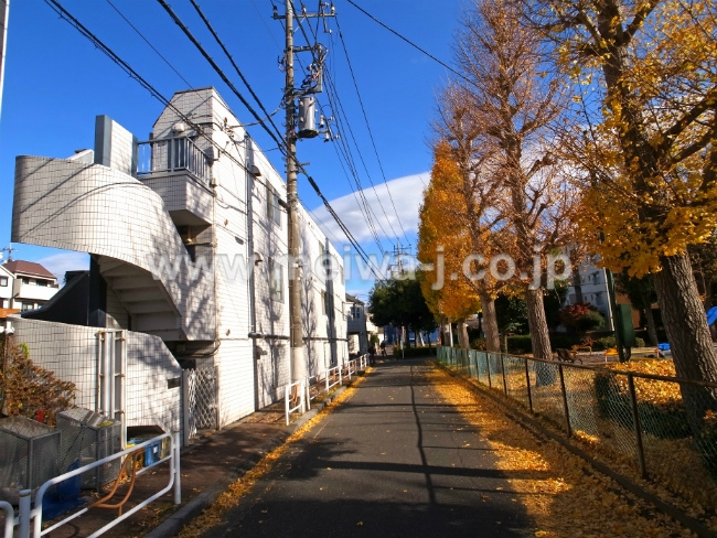 S-3297白糸台4丁目売り倉庫写真5