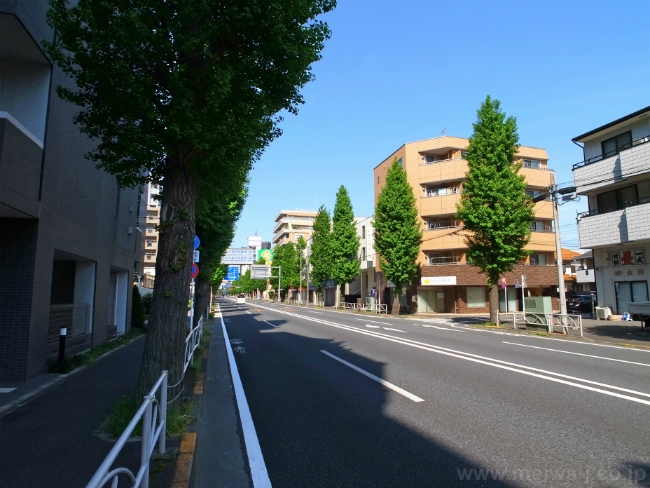 S-3318若松町２丁目一棟売マンション写真5