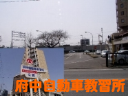 府中自動車教習所